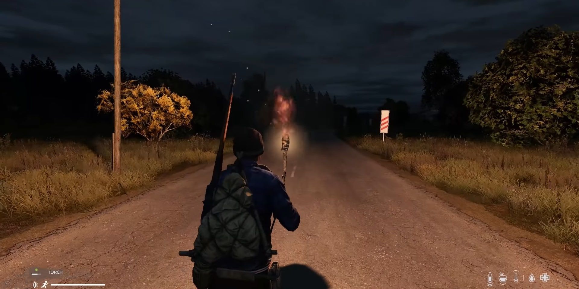 DayZ Torch