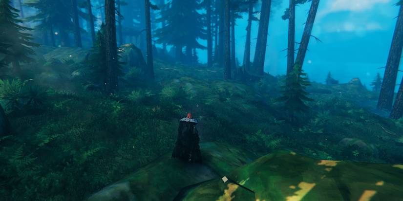 Valheim Black Forest Biome