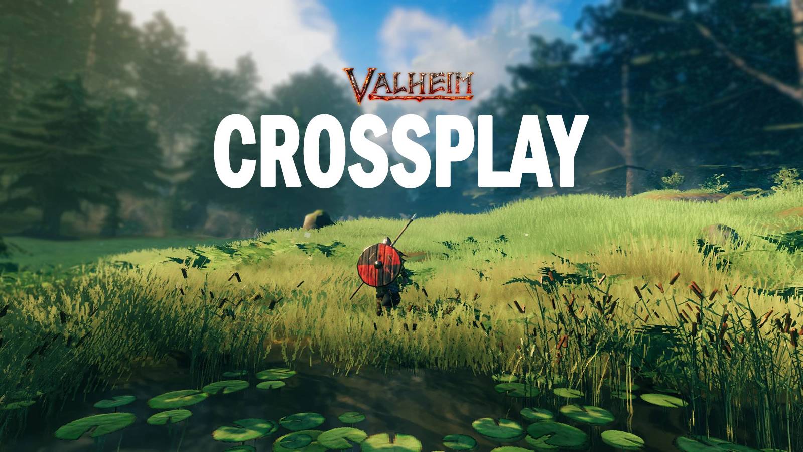 image showing a valheim biome. 