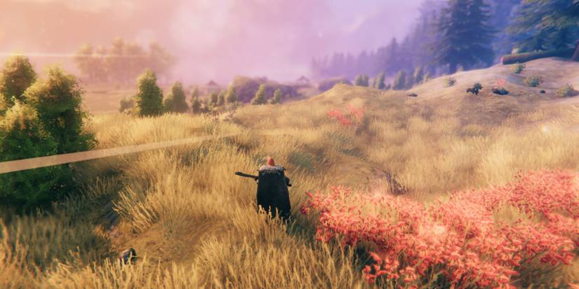 Valheim Plains Biome