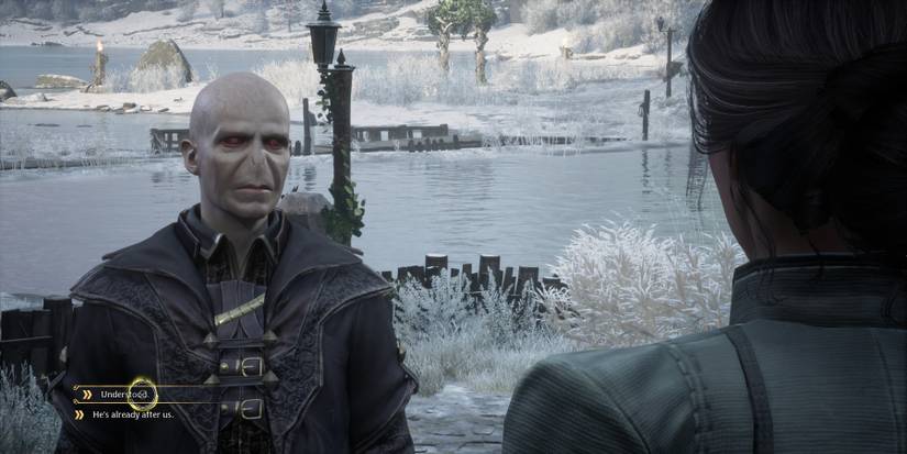 voldemort mod in hogwarts legacy