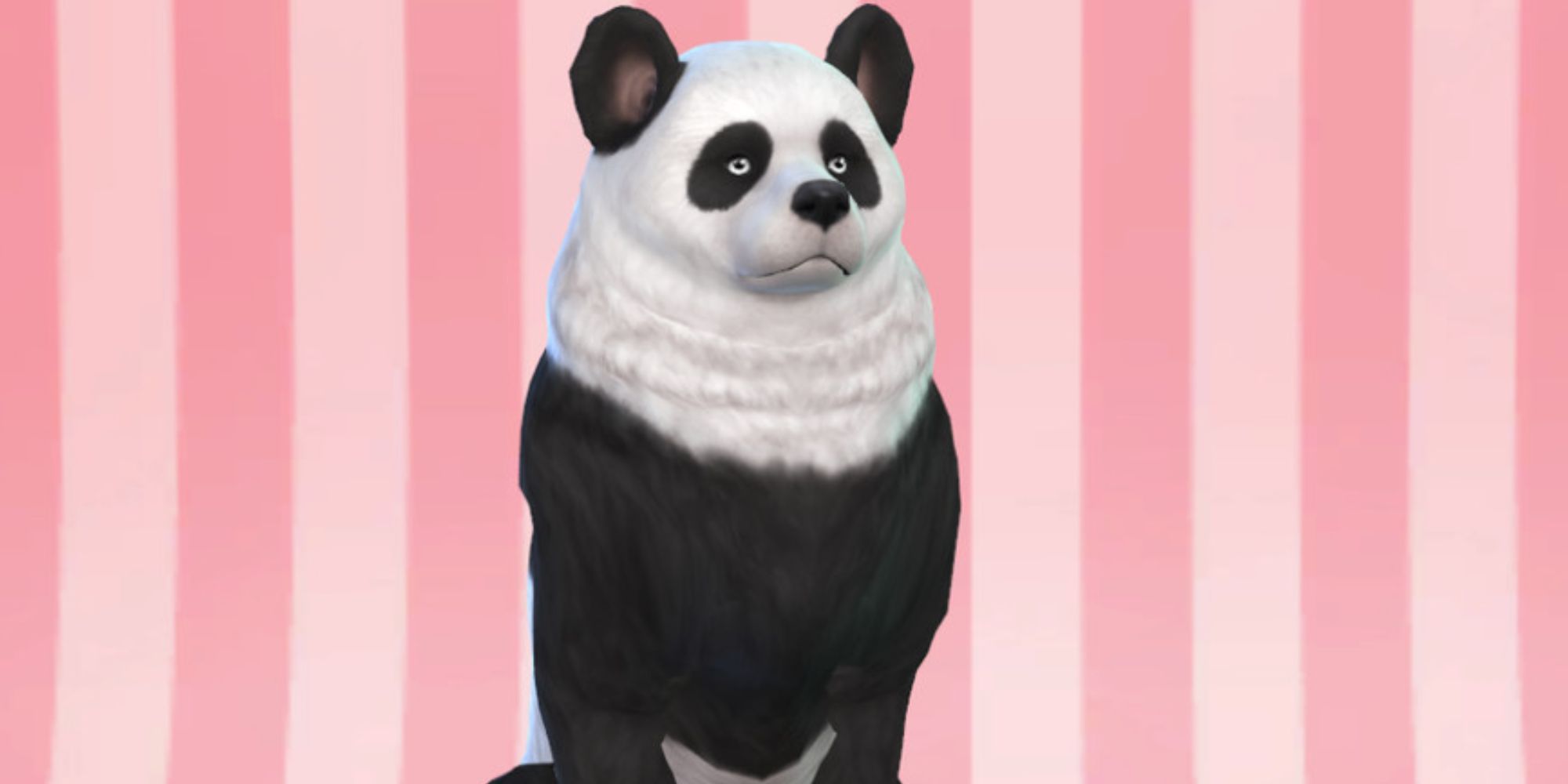 Custom content panda dog for The Sims 4