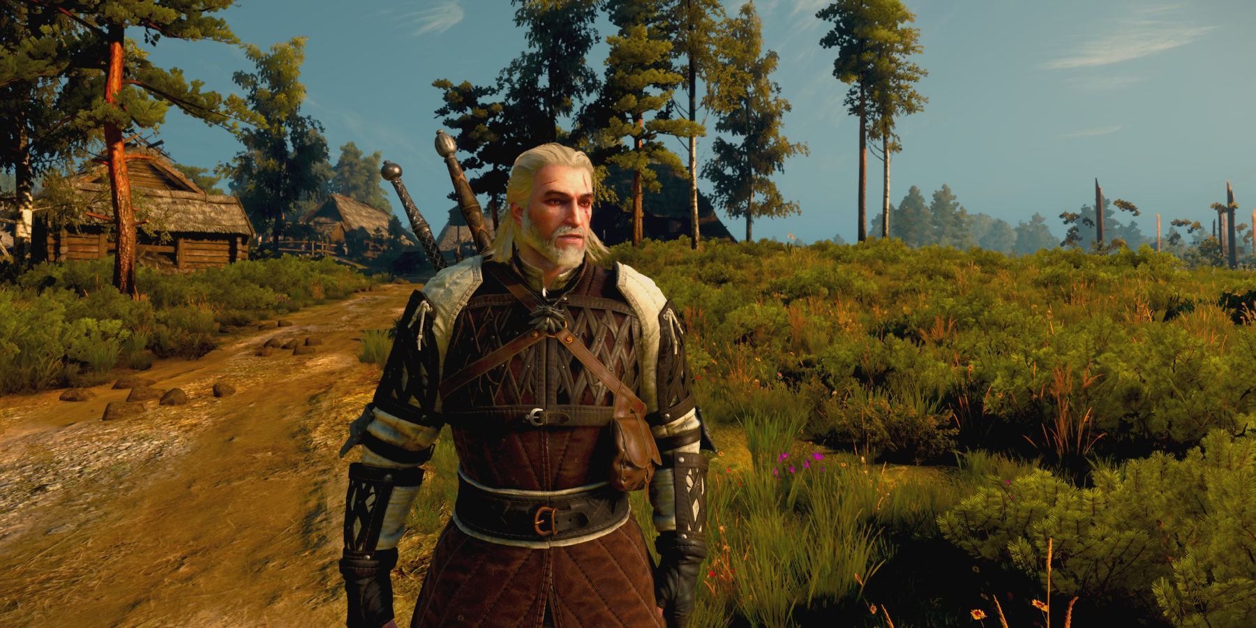 Witcher multiplayer changes