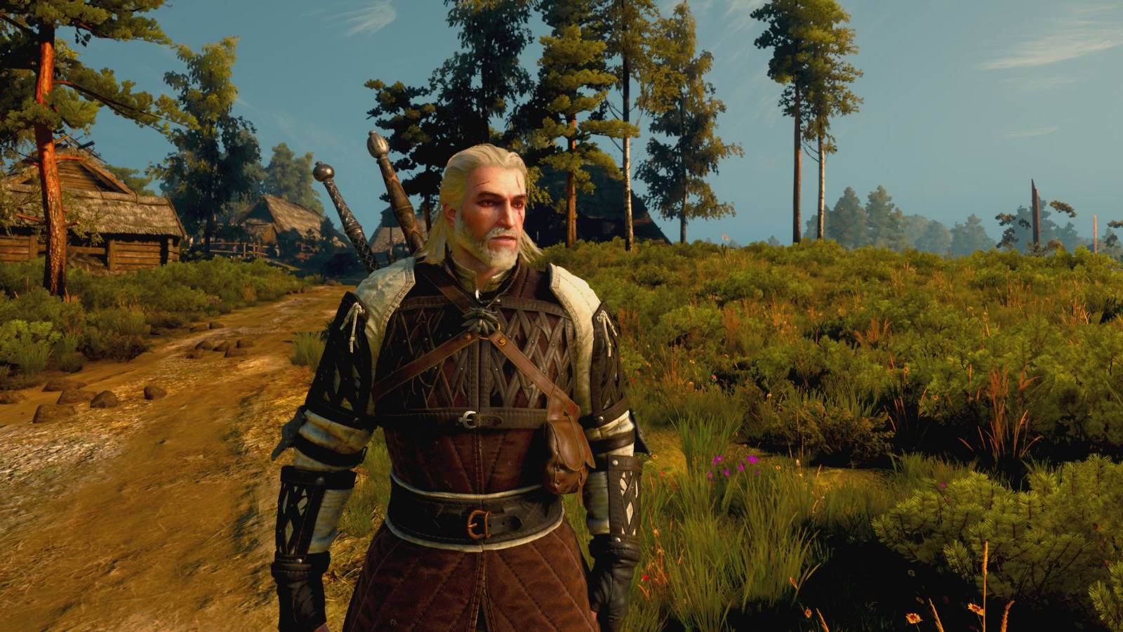Witcher multiplayer changes