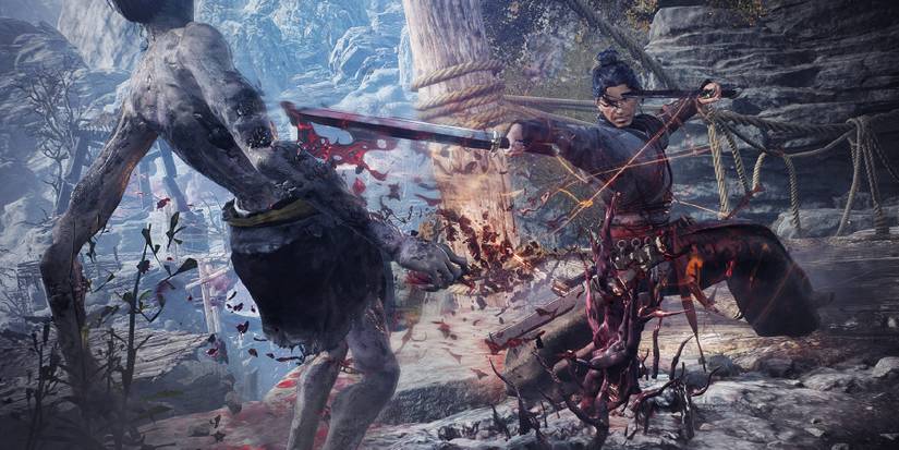 Wo Long Fallen Dynasty Combat Hero