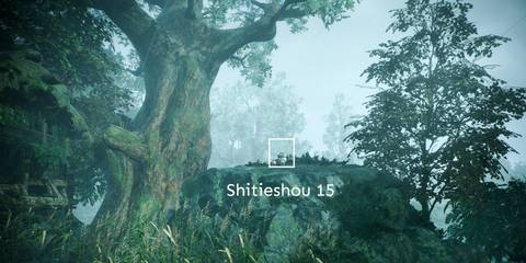 Wo-Long-ShiShou-15 (2)