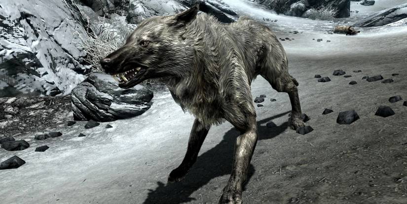 Skyrim ice wolf