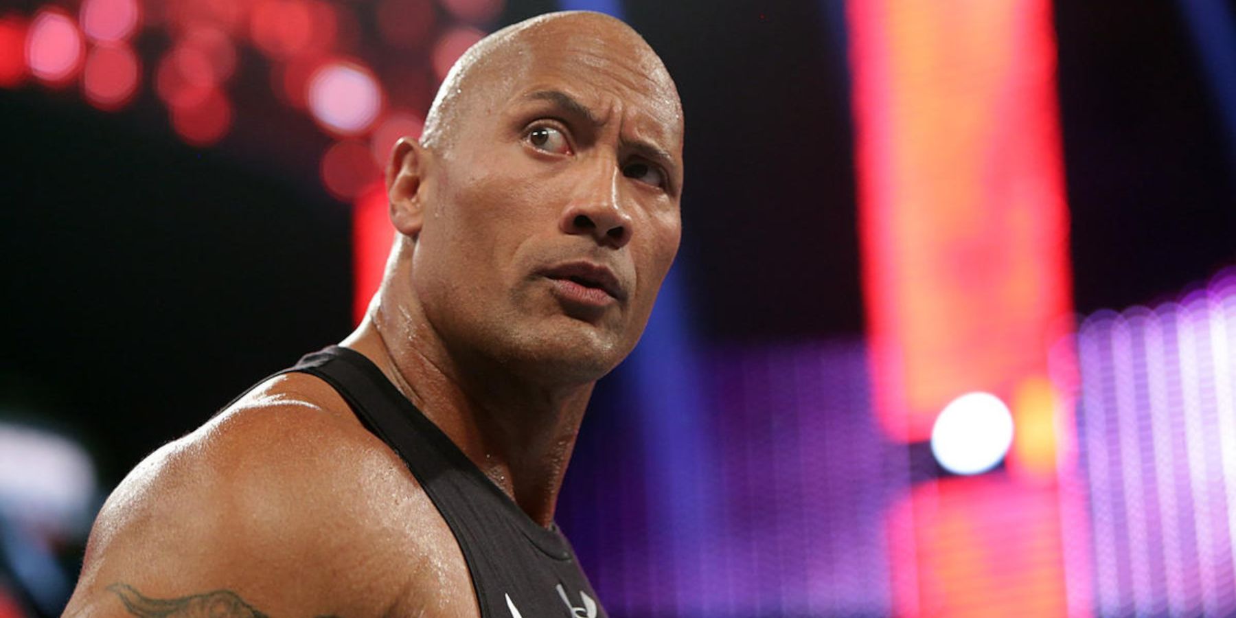 wwe.com the rock promo photo