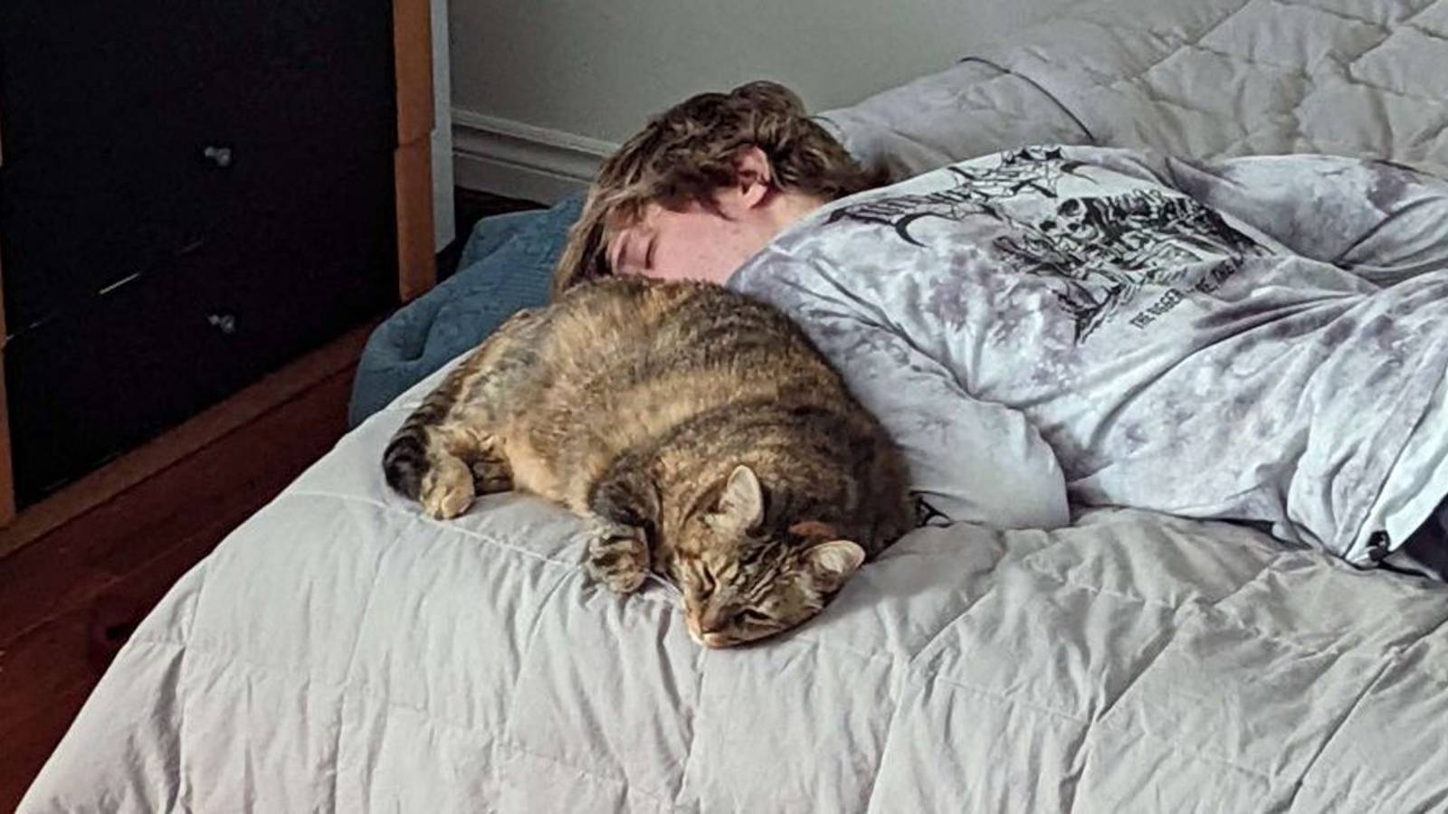 xqc cat lia sleeping