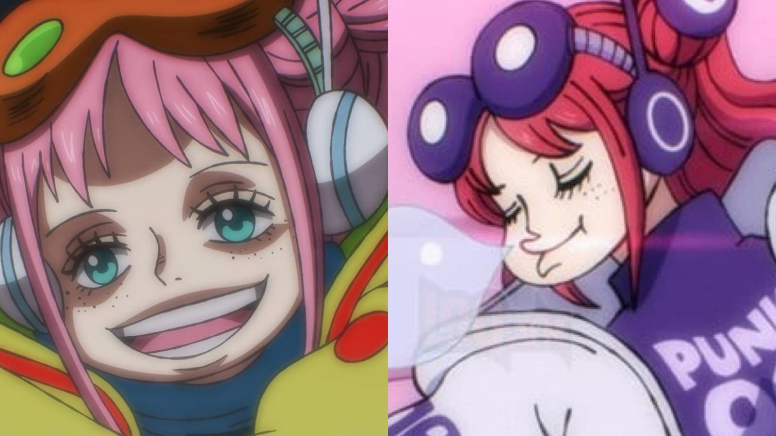 York vegapunk one piece