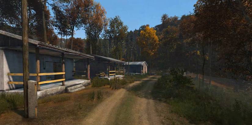 DayZ Youth Pioneer Camp