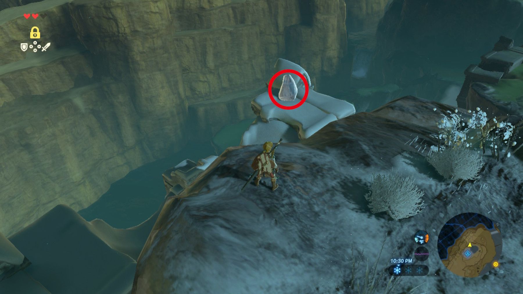 Zelda Breath of the Wild All Great Plateau Korok Seed Locations