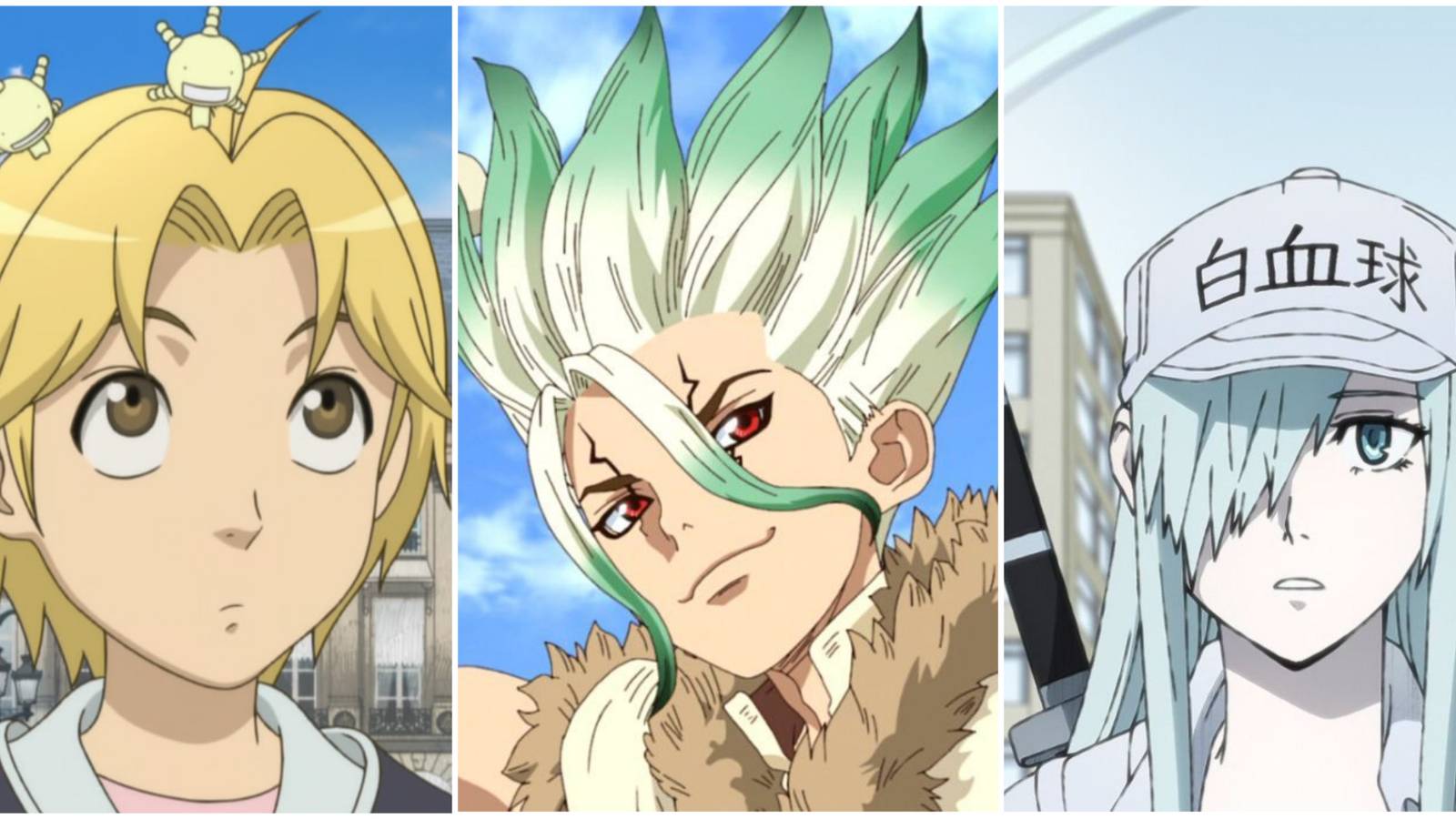 Dr Stone-like Anime- Moyashimon Dr Stone Cells at Work