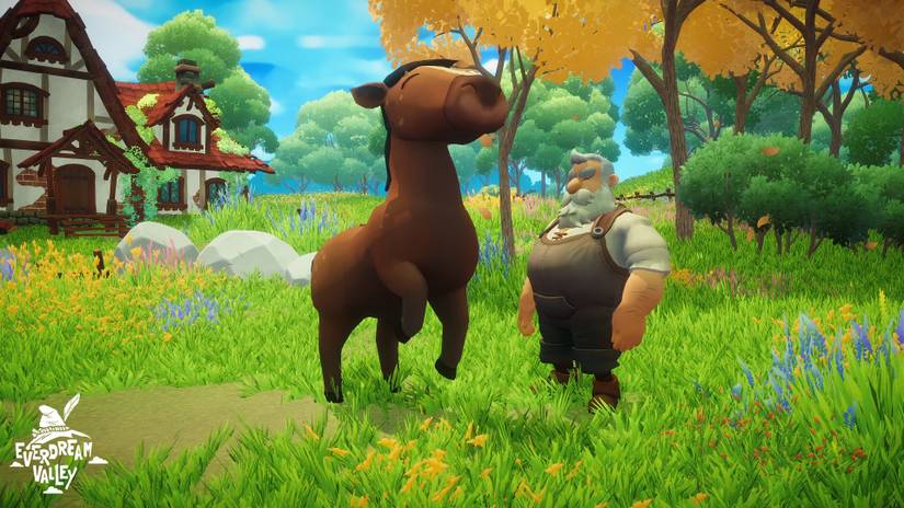 Everdream Valley grandpa