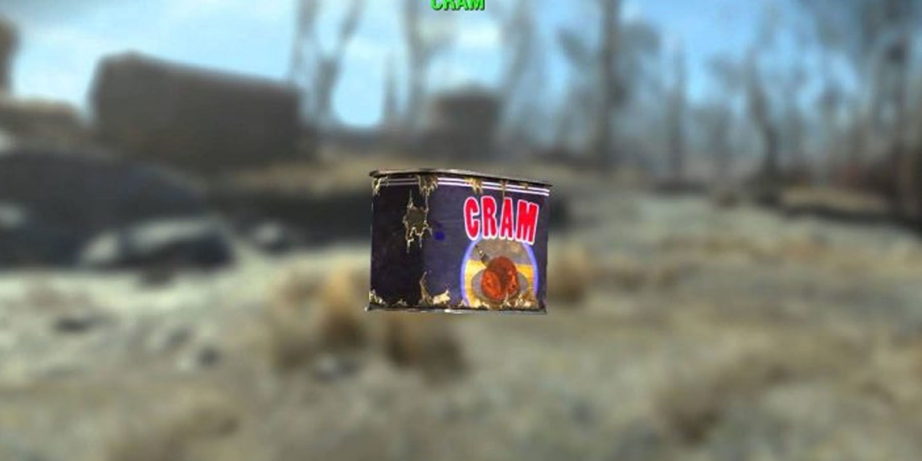 A canned good in Fallout 76