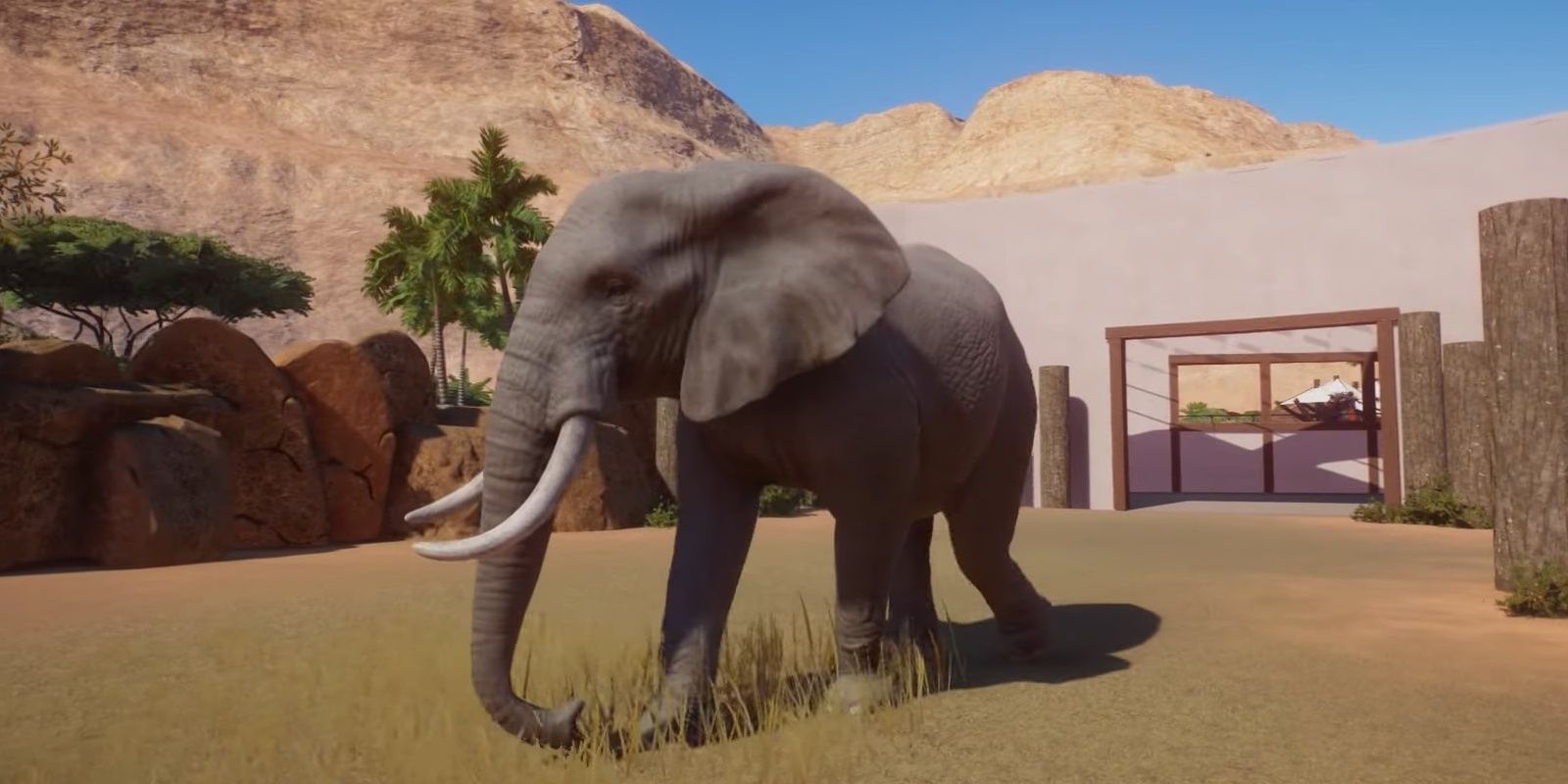 Planet Zoo African Elephant