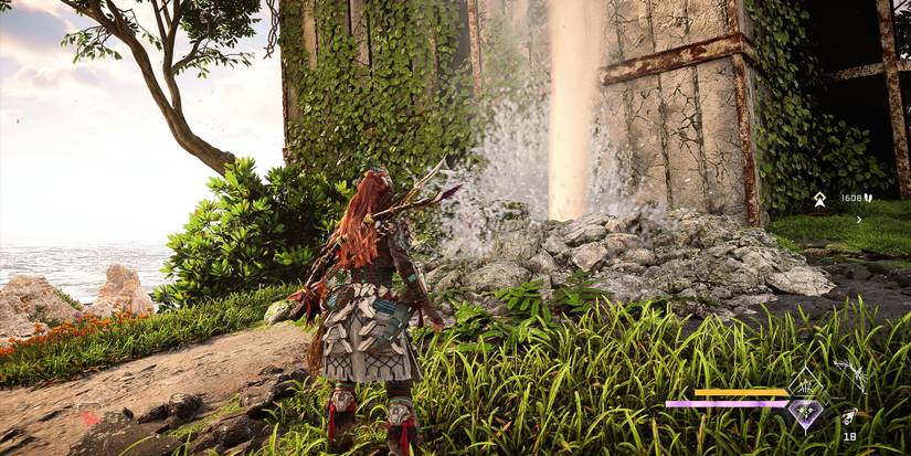 Aloy looking at geyser