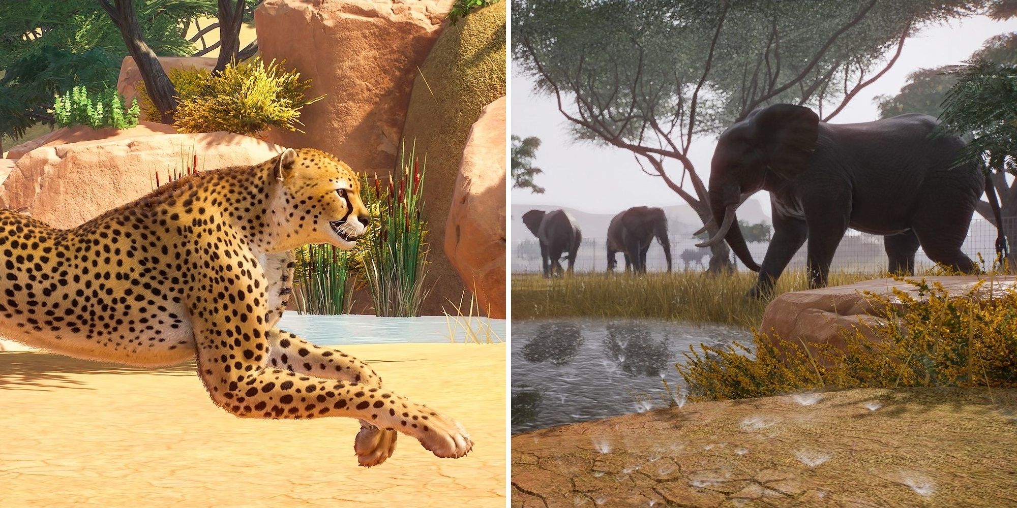 Planet Zoo Best Animals To Earn Conservation Credits
