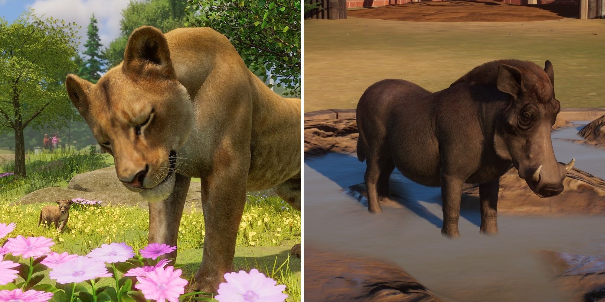 Planet Zoo Best Starting Animals