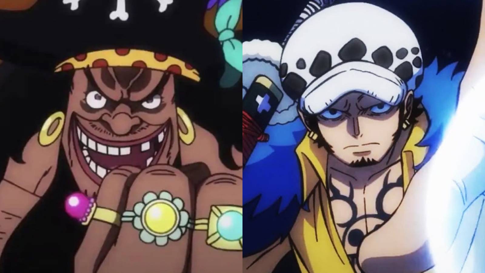 Blackbeard trafalgar law one piece