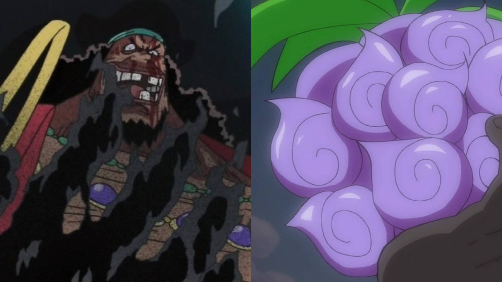 blackbeard yami yami no mi one piece
