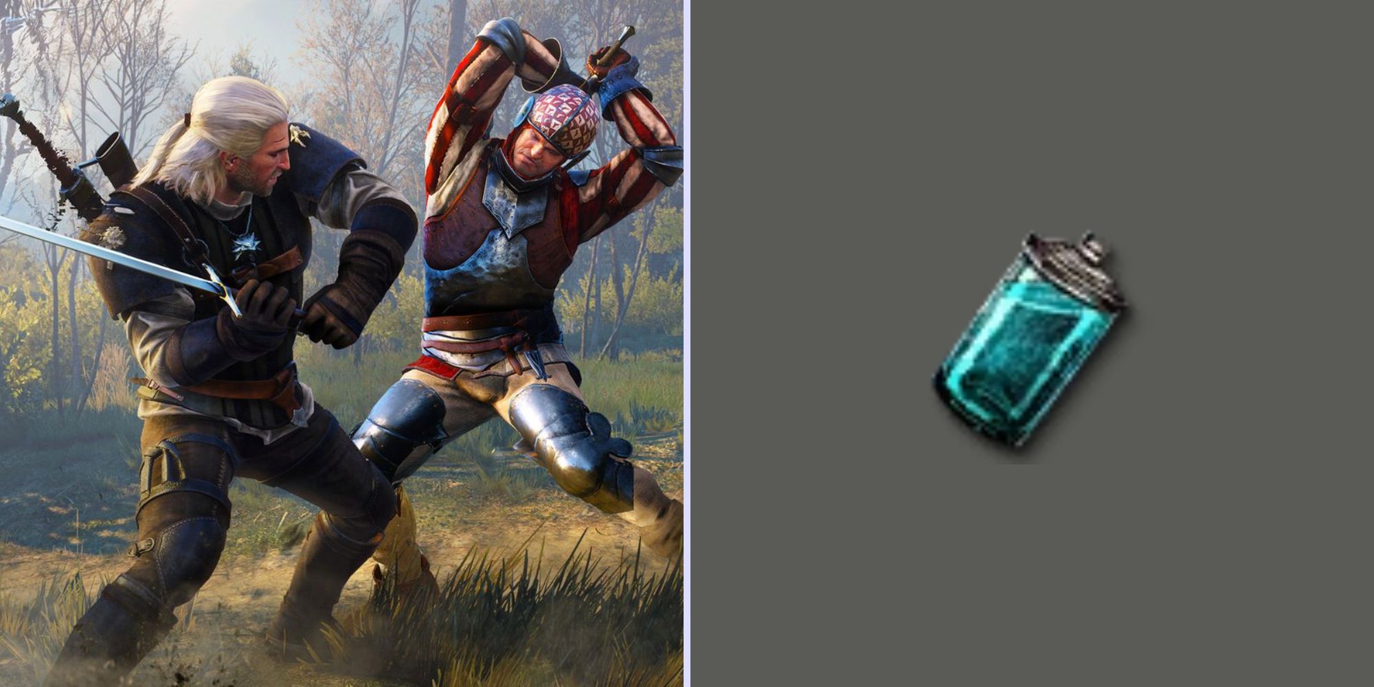 Blizzard Potion Witcher 3