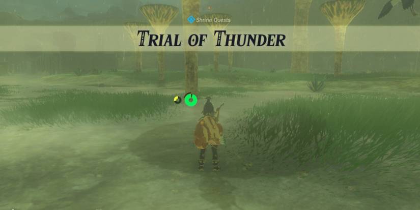 Breath-of-the-Wild-Rubber-Armor-013