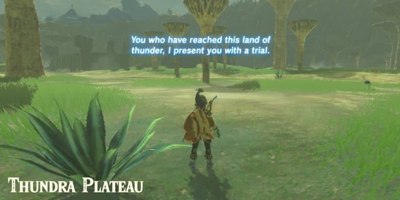 Breath-of-the-Wild-Rubber-Armor-014