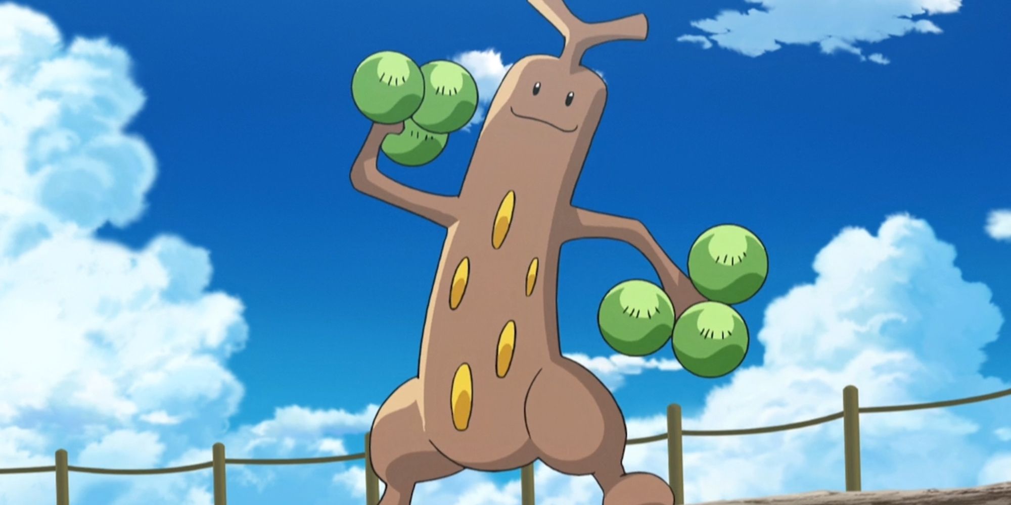 Brock's Sudowoodo In The Pokemon Anime