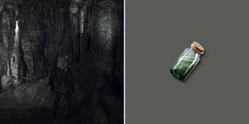 Cat Potion Witcher 3