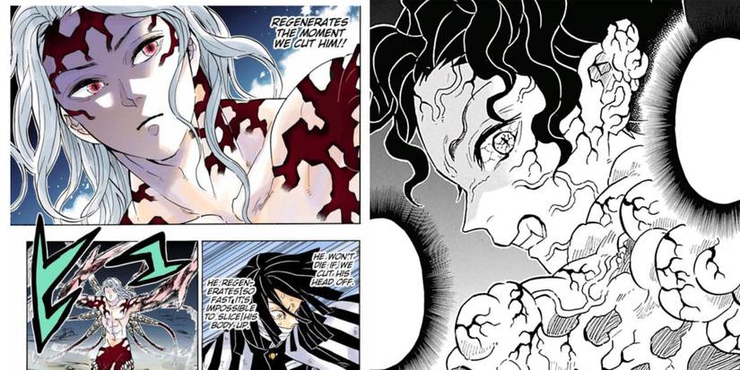 muzan regeneration ability