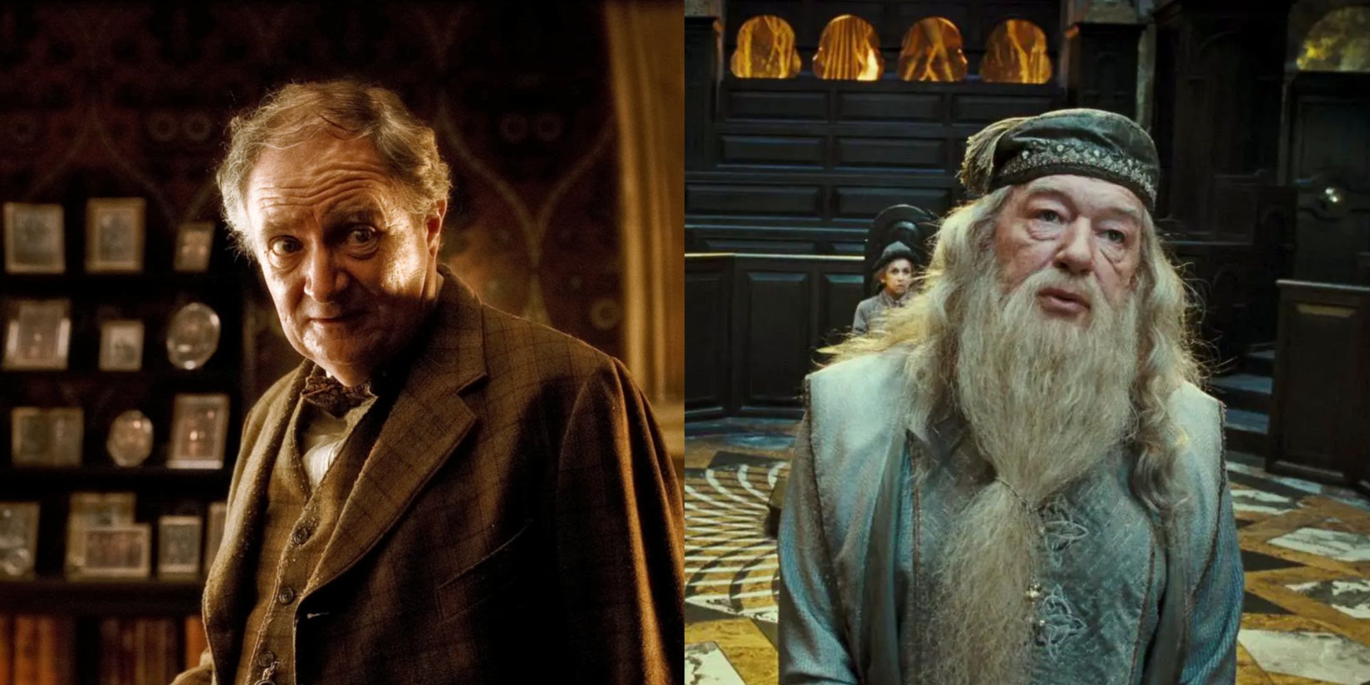 professors slughorn and dumbledore
