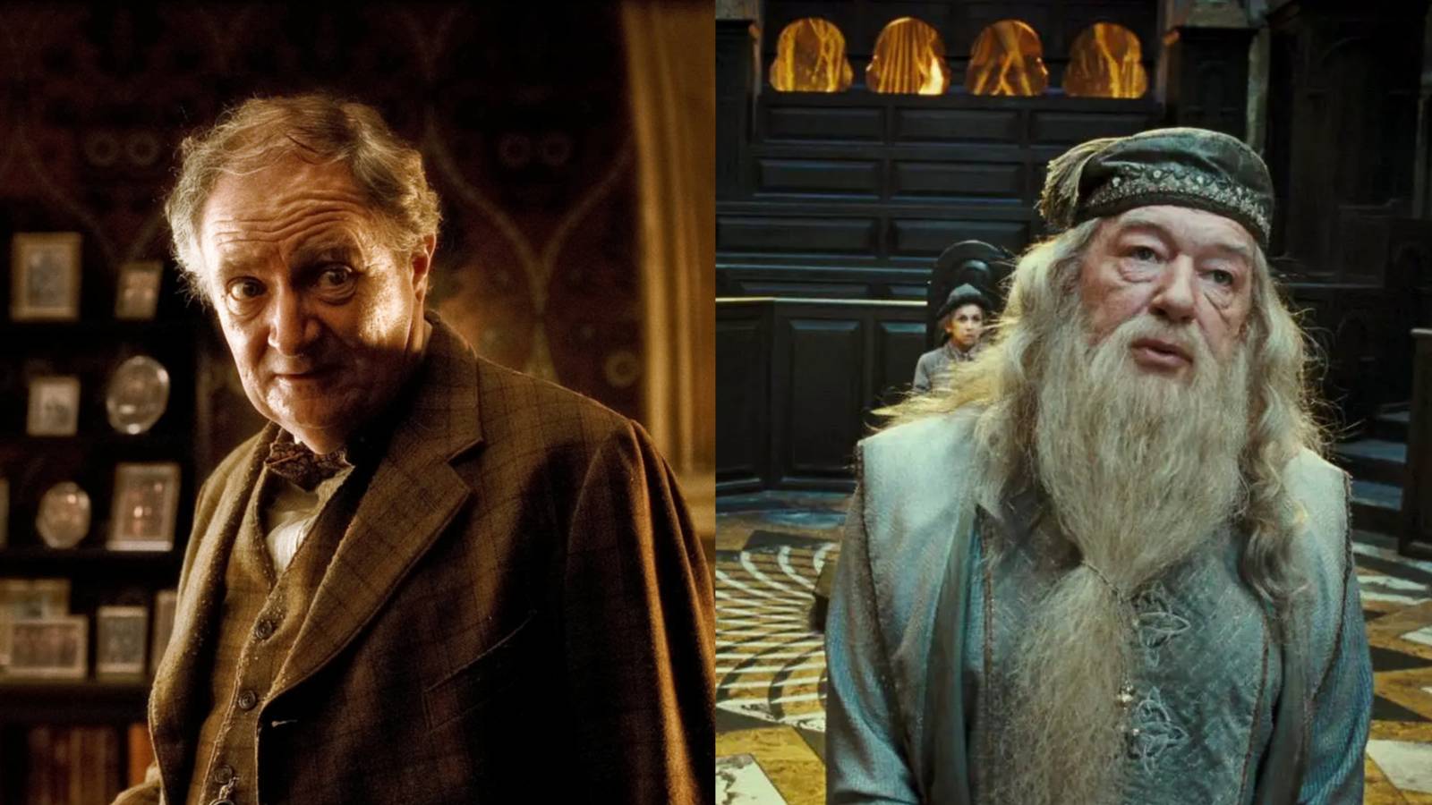 professors slughorn and dumbledore