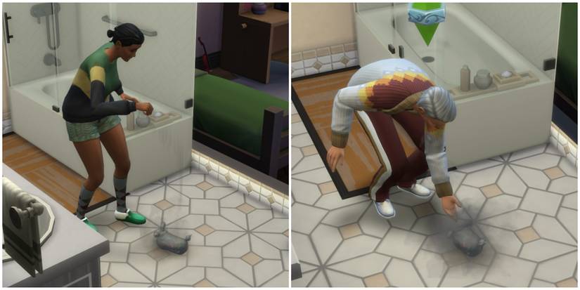 friendly dust bunny being fed