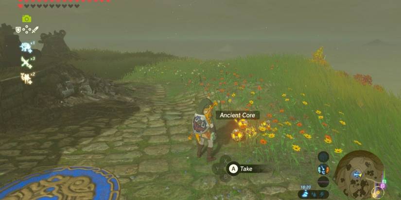 a lot of ancient cores on the ground