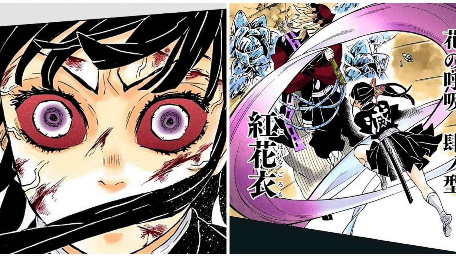 Demon Slayer: All Flower Breathing Techniques, Explained