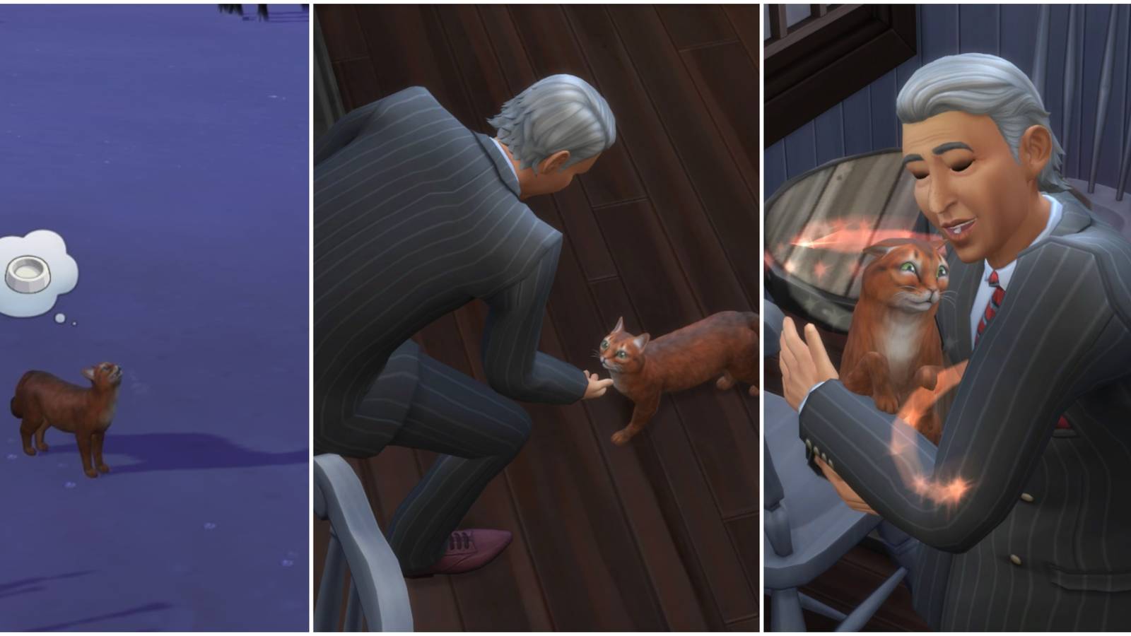 process of adopting a stray cat in-game