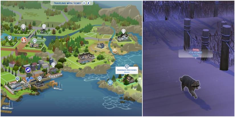 finding stray in pets and cats map