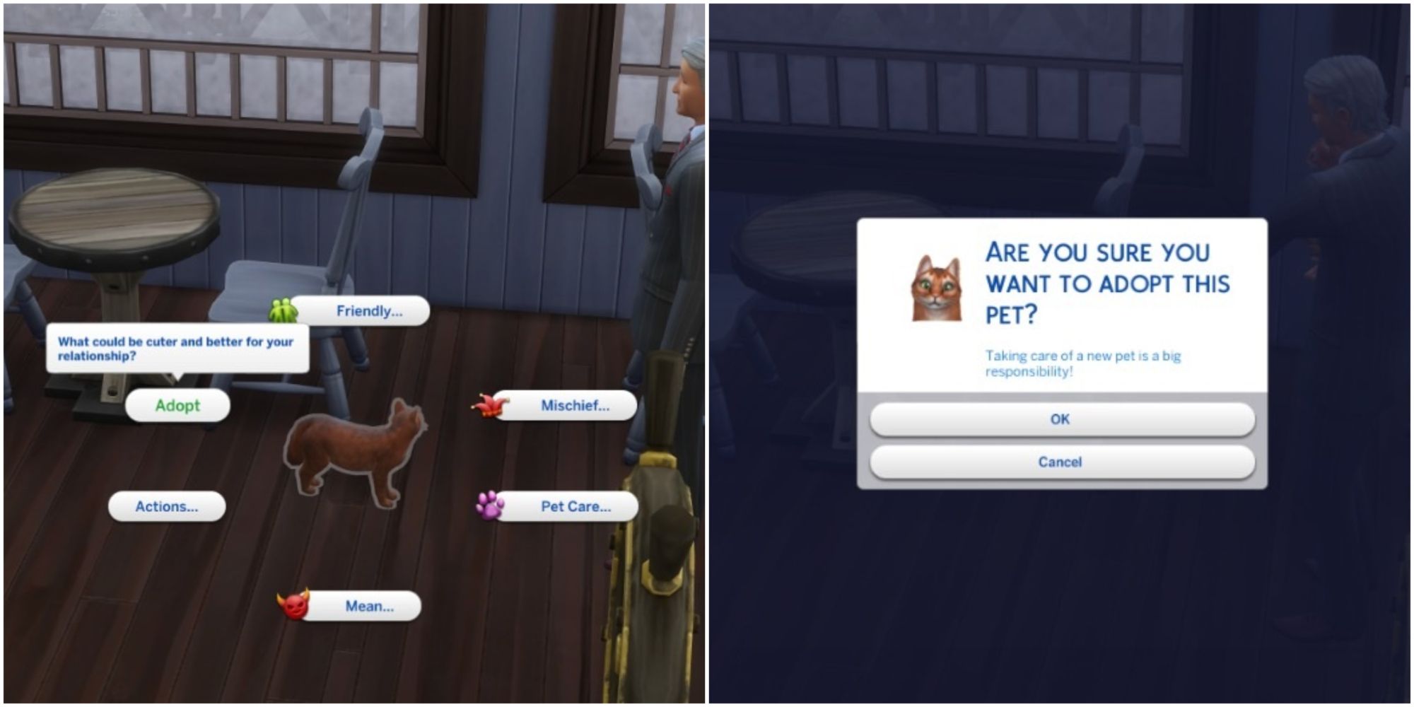 Sims 4 How To Adopt A Stray