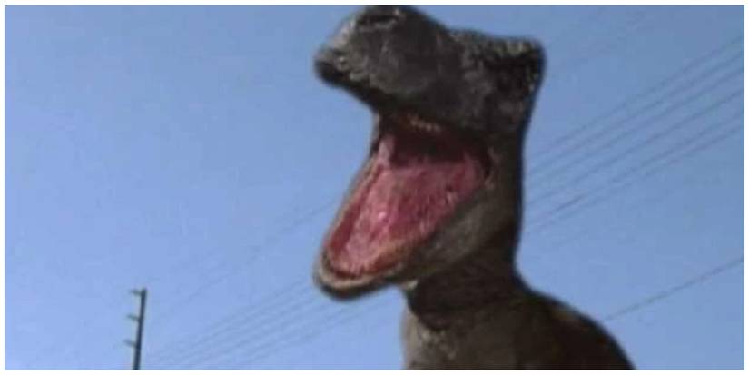 Collage Maker-23-Apr-2023-01-43-PM-728