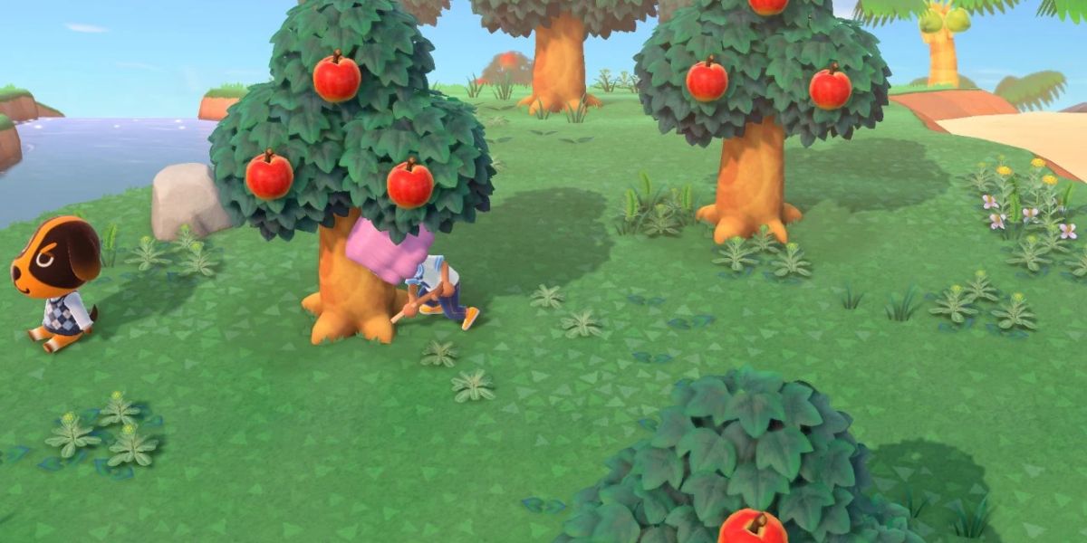 A player digs up a tree in Animal Crossing New Horizons