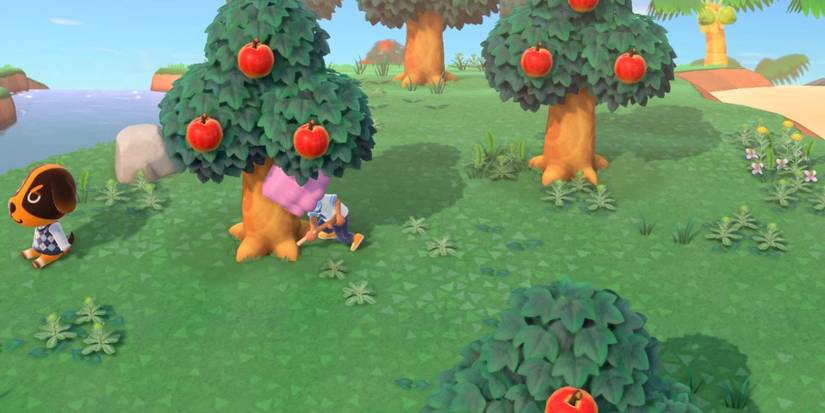 A player digs up a tree in Animal Crossing New Horizons
