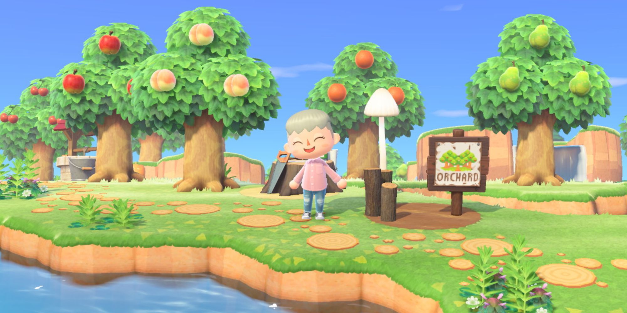 A player stands in his orchard in Animal Crossing New Horizons