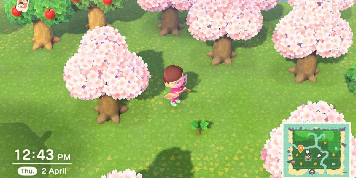 A tree sprout in Animal Crossing New Horizons