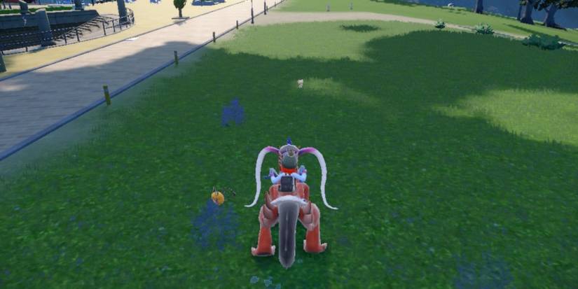 walking past a dedenne in the wild