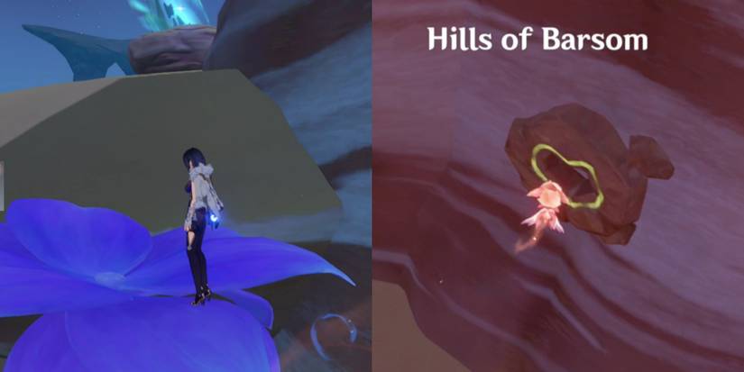 collected udumbara in Genshin Impact