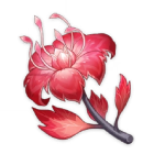 Dendrobium Genshin Impact