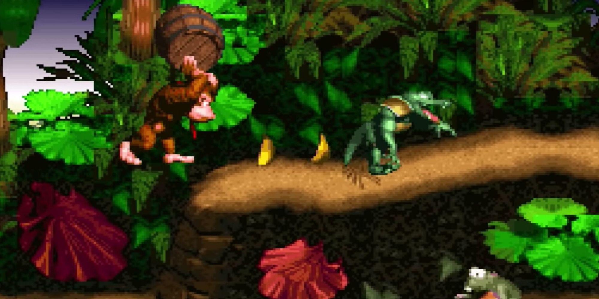 Donkey Kong in Donkey Kong Country
