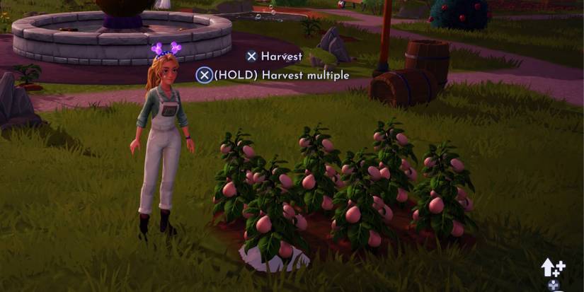 dreamlight valley spring v-egg-etable harvesting