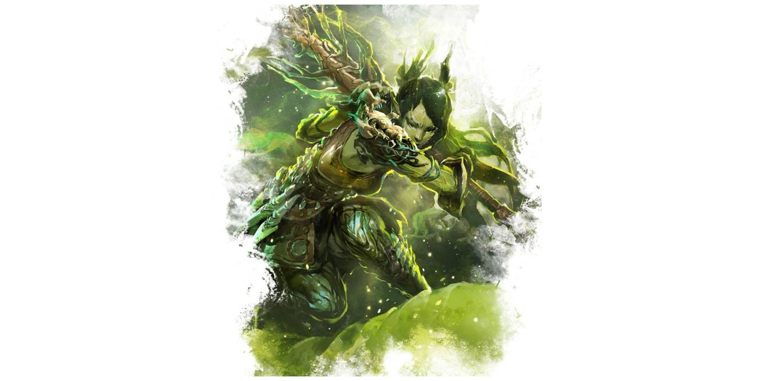 Druid